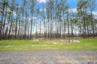 A-2-B Nona Hancock Ln, Greenwell Springs, LA 70739