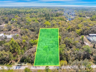33468 West Blvd, Webster, FL 33597