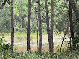 0 NE 114th Avenue Rd, Fort McCoy, FL 32134