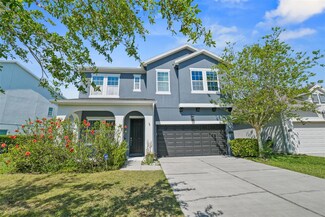 11503 Quiet Forest Dr, Tampa, FL 33635