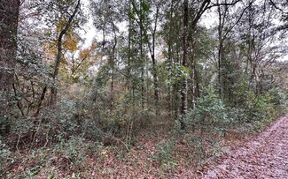 TBD 14th Street Lot 9, Live Oak, FL 32060