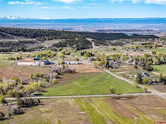 Lot 2 Surface Creek Rd, Cedaredge, CO 81413