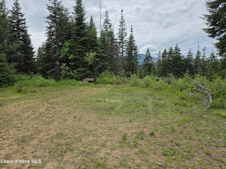 125 Cottage Ln, St. Maries, ID 83861