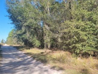 0 SW 61 Place Unit MFRGC529744, Newberry, FL 32669