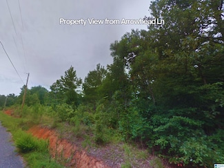 0 Arrowhead Ln Unit Tt-1 21430965, County, AL 35160