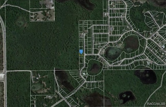 0 SE 213th Terrace, Umatilla, FL 32784