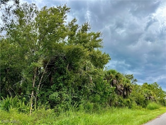 26373 & 26377 Deer Rd, Punta Gorda, FL 33955