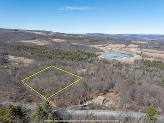TBD Abitz Rd, Durham, NY 12422