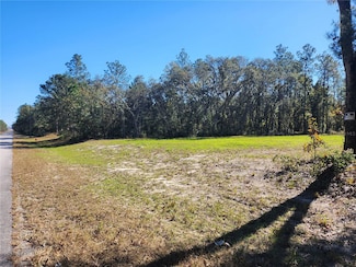 TBD SW 137 St, Ocala, FL 34473
