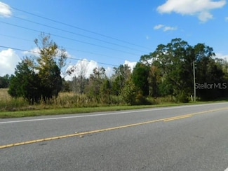 0 Treiman Blvd Unit T3412934, Webster, FL 33597