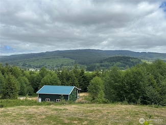 341 Parpala Rd, Naselle, WA 98638