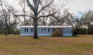 324 NE Delphinium Dr, Madison, FL 32340