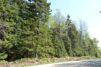 Lot #2 Hitchcock Hill Rd, Windham, VT 05359