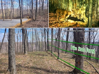 0 Pike Lake Rd Unit (Tract 4 Pike Lake G, Bainbridge, OH 45612