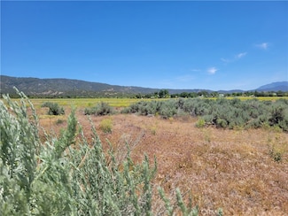 48 Bonita Vista Rd, Anza, CA 92539