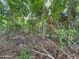 0 Woodbridge Dr, Madison, MS 39110