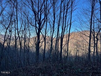 Lot 13 Eagle Ridge Rd, Roan Mountain, TN 37687