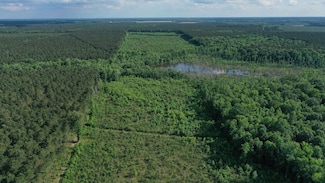 624 Roquist Pocosin Rd, Windsor, NC 27983