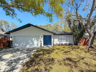 7711 Dover Ct N, Saint Petersburg, FL 33709