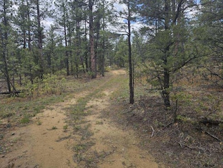 17990 King Rd Unit 1166, Weston, CO 81091