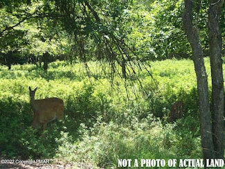 CP991 Sitting Wolf Ln, Albrightsville, PA 18210