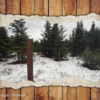 65201 Chamberlain Ave, Ninilchik, AK 99639