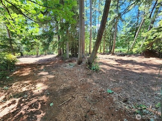 4076 S Preserve Dr, Camano, WA 98282