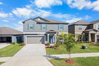 11079 Linden Depot Rd, San Antonio, FL 33576