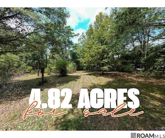 24221 Joe May Rd, Denham Springs, LA 70726