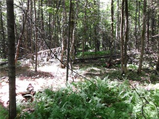 22 Davis Rd, Fairfield, ME 04937