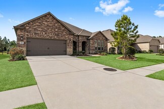 325 Belgian Ct, the Woodlands, TX 77382