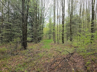 110 Fuller Road Lot Unit WP003, Triangle, NY 13778