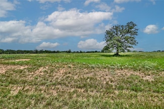 TBD 1-13 (2.0 Acres) New Moon Ct, Red Rock, TX 78662