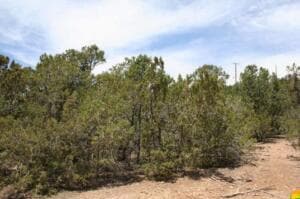 0 Olympio Ln, Cedar Crest, NM 87008