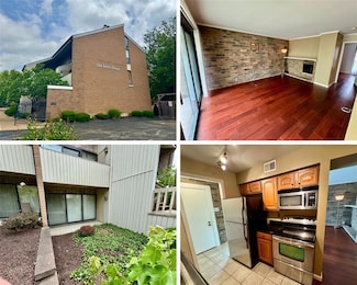 624 Coeur de Royale Dr Unit A, Saint Louis, MO 63141