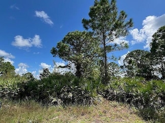 1253 Barnet Ave, Lehigh Acres, FL 33913