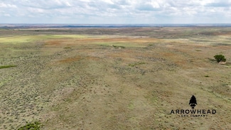 0 Tbd County Rd 17, Follett, TX 79034