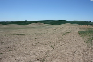 11 Golden Wheat Ln, Pullman, WA 99163