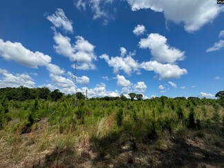 0 Peach Orchard Rd, Dalzell, SC 29040