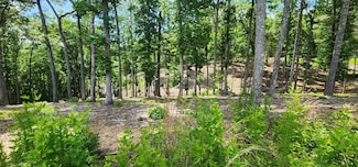 LT 106 Split Creek Rd, Morganton, GA 30560