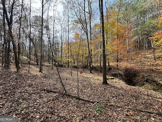 0 Old Middleton Rd Unit 10651016, Elberton, GA 30635