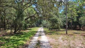 #2 - 12.81ac NE 127 St, Fort Mc Coy, FL 32134