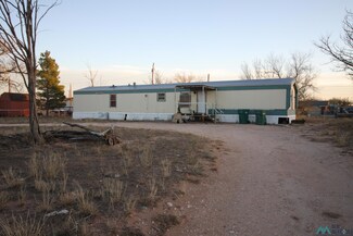 13 W Mesquite St, Lovington, NM 88260