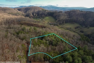 1 Mirandi Dr, Warne, NC 28909