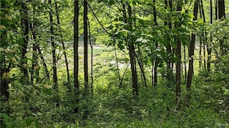 0 Westland Dr Unit S1321282, Eaton, NY 13310