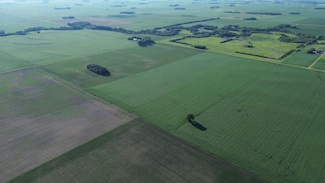 Tbd 140th St, Walnut Grove, MN 56180