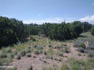 46 Dawn Ln Unit CR 5052, Concho, AZ 85924
