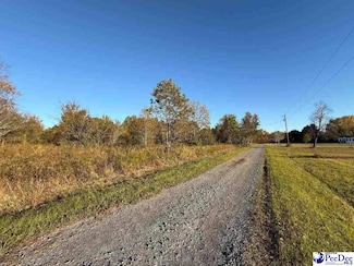 Lot 7 & 8 David Ln, Wallace, SC 29596