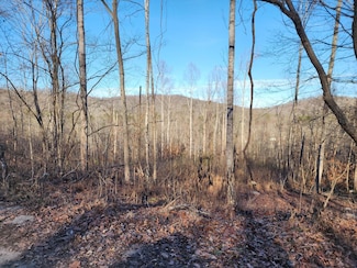 30 & 31 Stephens Dr, Somerset, KY 42501