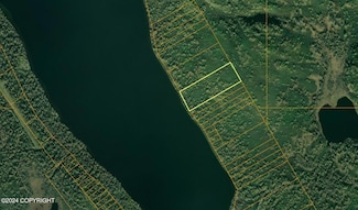 Lt 53 Shell Lake (No Road), Skwentna, AK 99667